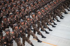 建国70周年国庆大阅兵仪式中小学生观后感5篇